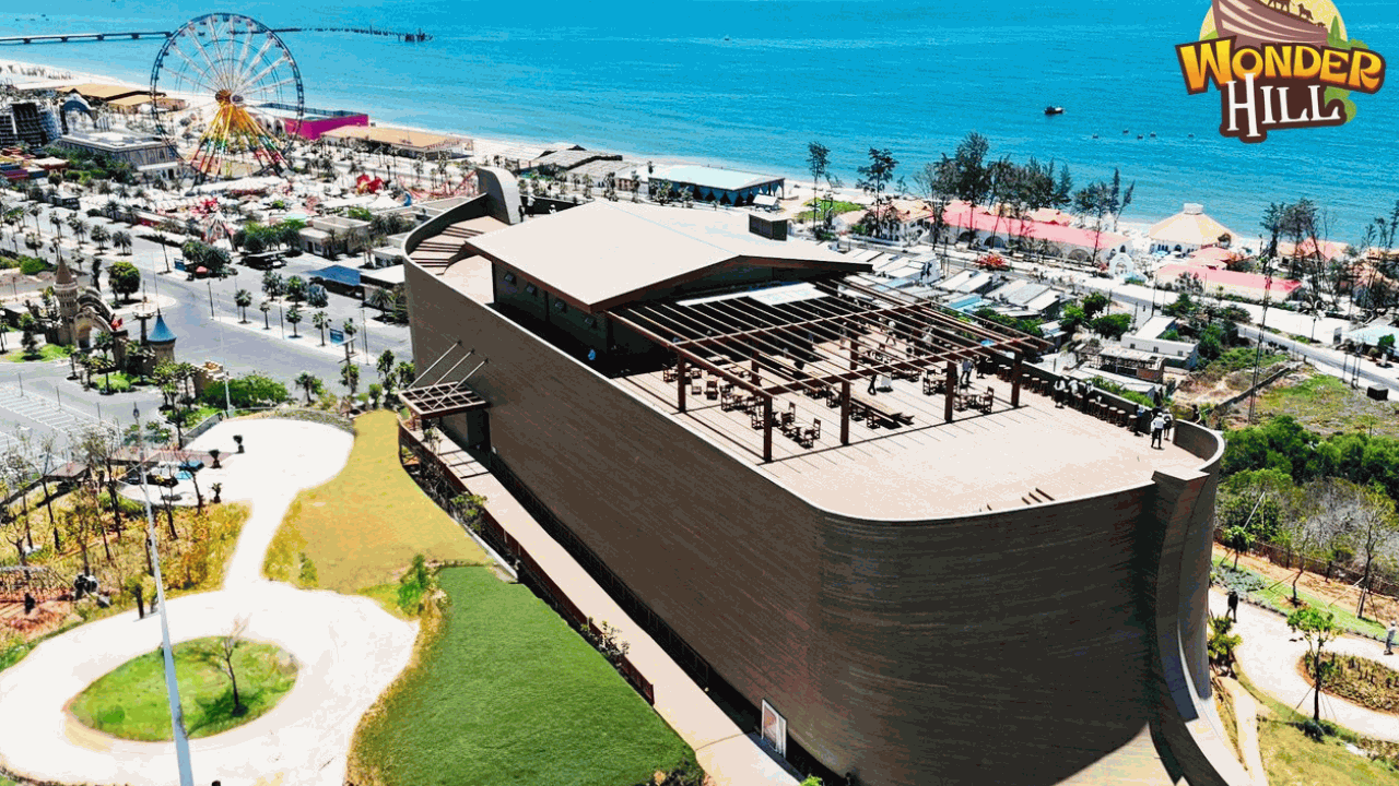 Con tàu Noah Wonder Hill