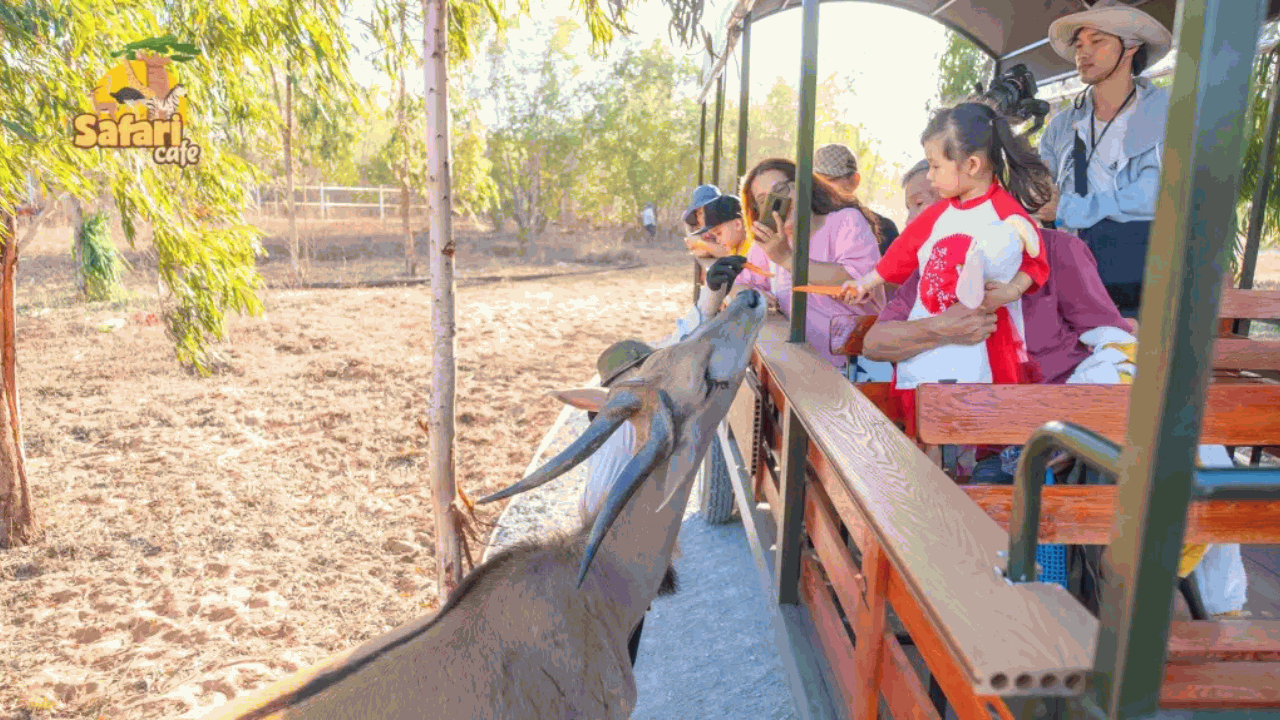 Safari Cafe Phan Thiết